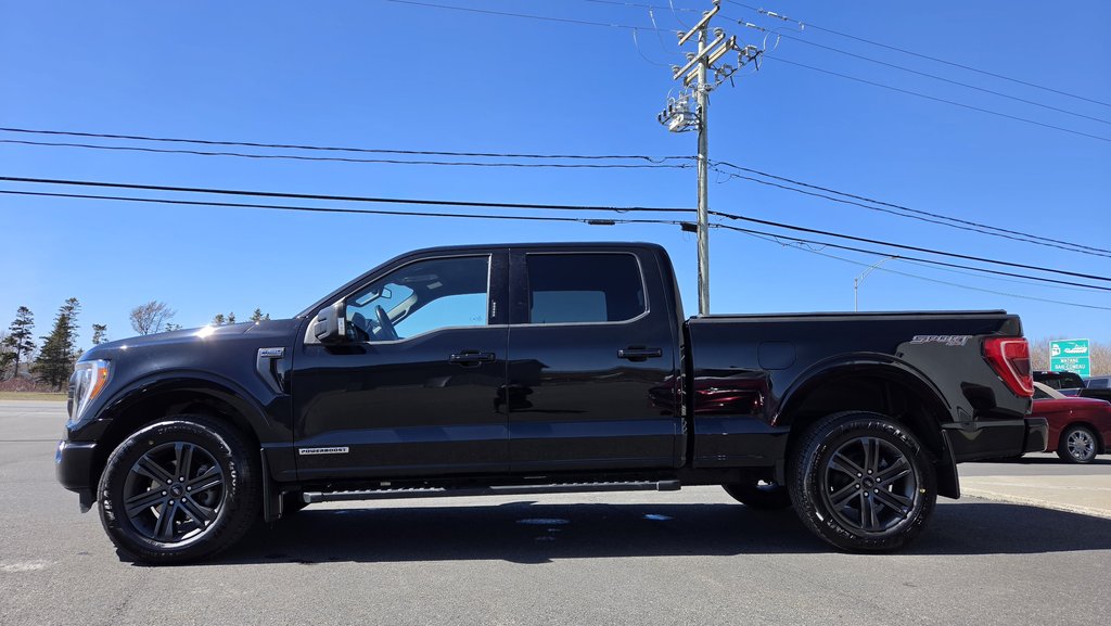 Ford F-150 XLT SPORT 302A HYBRIDE 2022 à Matane, Québec - 8 - w1024h768px