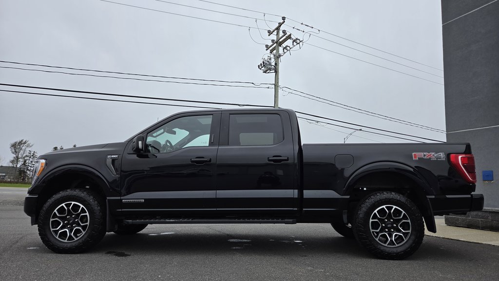 Ford F-150 XLT Sport 302A   FX4  Hybride 2022 à Matane, Québec - 8 - w1024h768px