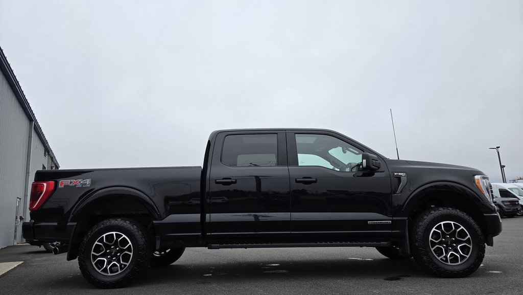 Ford F-150 XLT Sport 302A   FX4  Hybride 2022 à Matane, Québec - 4 - w1024h768px