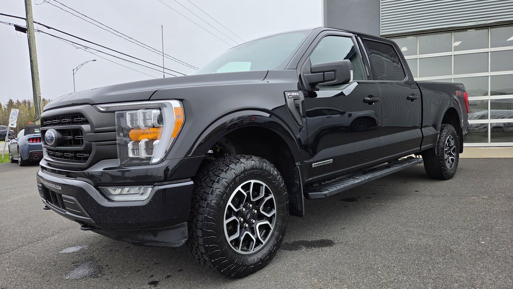 Ford F-150 XLT Sport 302A   FX4  Hybride 2022 à Matane, Québec - 10 - w1024h768px