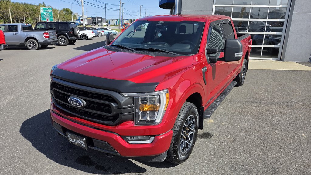 Ford F-150 XLT SPORT 302A HYBRIDE 2022 à Matane, Québec - 13 - w1024h768px