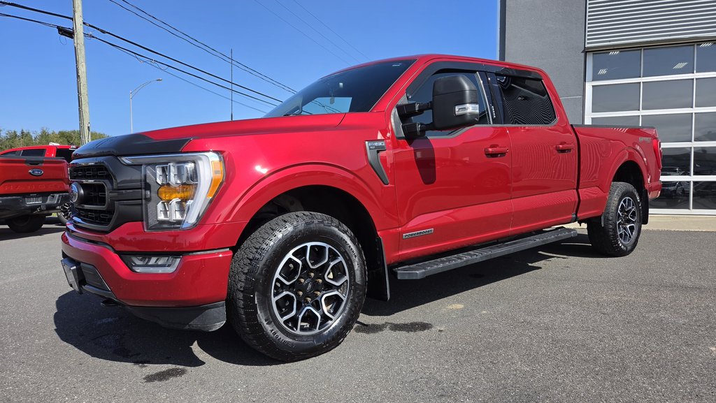 Ford F-150 XLT SPORT 302A HYBRIDE 2022 à Matane, Québec - 11 - w1024h768px