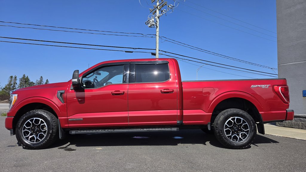 Ford F-150 XLT SPORT 302A HYBRIDE 2022 à Matane, Québec - 9 - w1024h768px