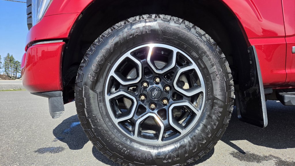 Ford F-150 XLT SPORT 302A HYBRIDE 2022 à Matane, Québec - 12 - w1024h768px