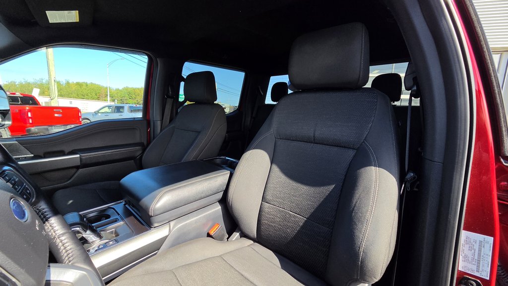 Ford F-150 XLT SPORT 302A HYBRIDE 2022 à Matane, Québec - 15 - w1024h768px