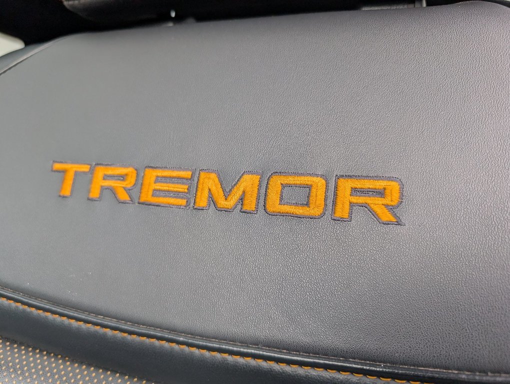 Ford F-150 TREMOR  402A 2023 à Matane, Québec - 10 - w1024h768px