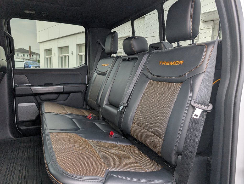 Ford F-150 TREMOR  402A 2023 à Matane, Québec - 9 - w1024h768px