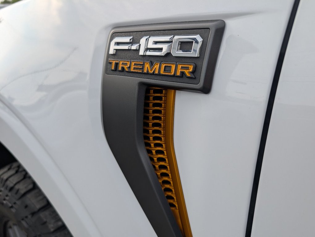 Ford F-150 TREMOR  402A 2023 à Matane, Québec - 7 - w1024h768px