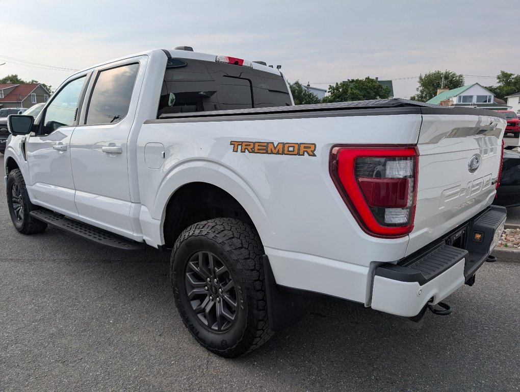 Ford F-150 TREMOR  402A 2023 à Matane, Québec - 3 - w1024h768px