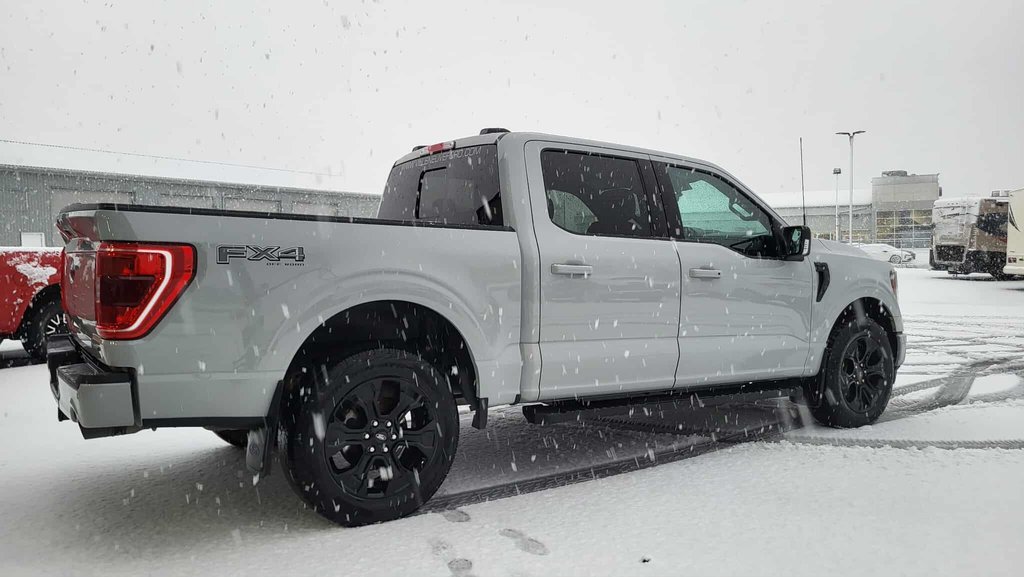 Ford F-150 XLT SPORT 302A  BLACK EDITION CUIR 2023 à Matane, Québec - 5 - w1024h768px