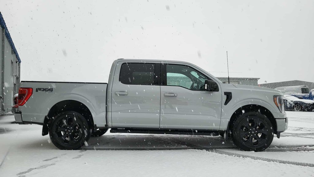 Ford F-150 XLT SPORT 302A  BLACK EDITION CUIR 2023 à Matane, Québec - 4 - w1024h768px