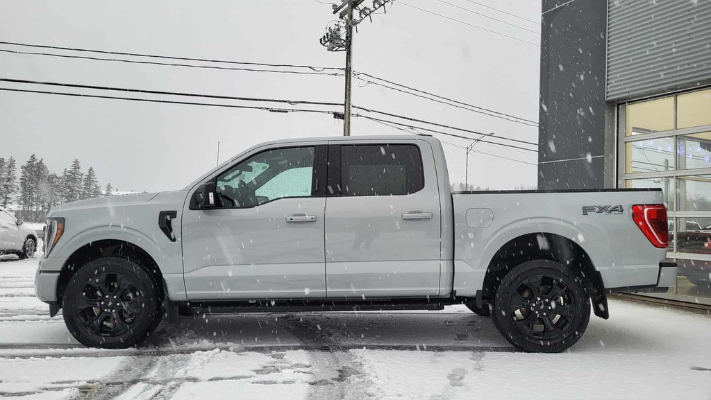 Ford F-150 XLT SPORT 302A  BLACK EDITION CUIR 2023 à Matane, Québec - 9 - w1024h768px