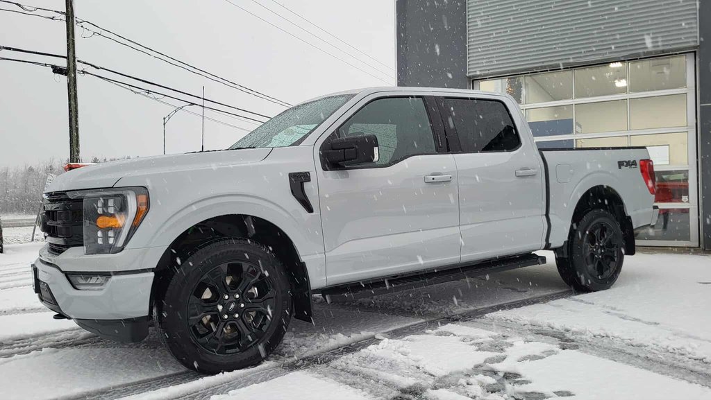 Ford F-150 XLT SPORT 302A  BLACK EDITION CUIR 2023 à Matane, Québec - 10 - w1024h768px