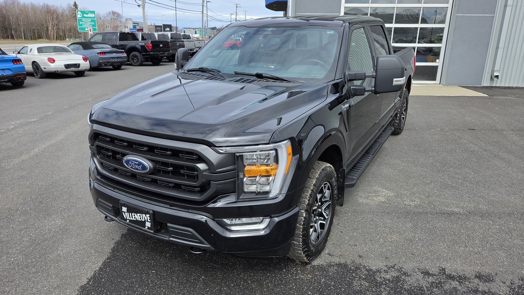 Ford F-150 XLT  SPORT 302A 2023 à Matane, Québec - 25 - w1024h768px