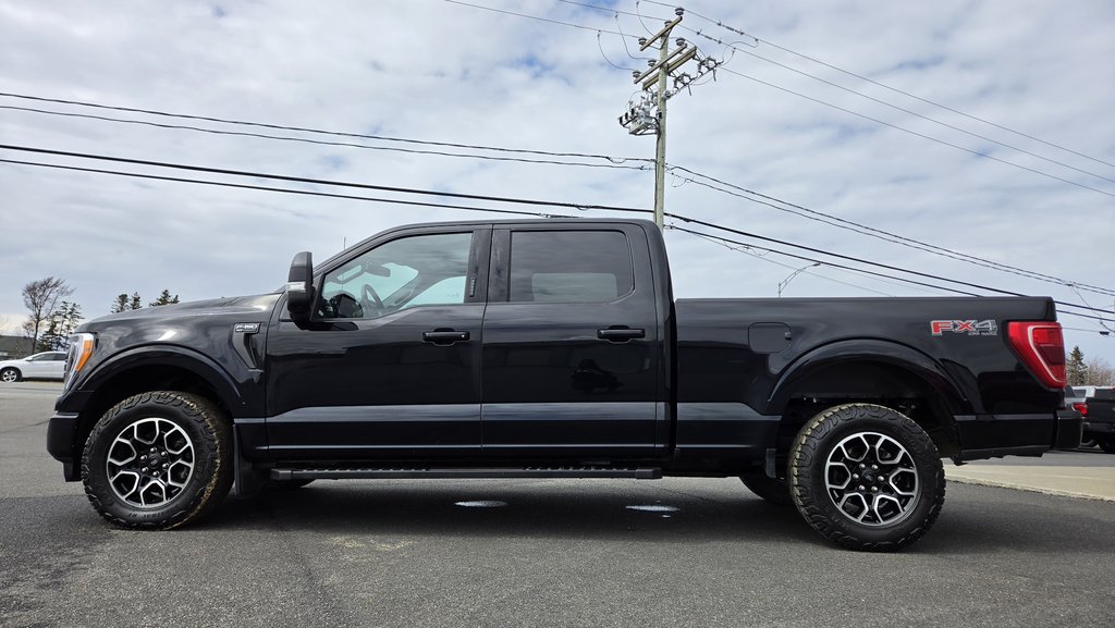 Ford F-150 XLT  SPORT 302A 2023 à Matane, Québec - 23 - w1024h768px
