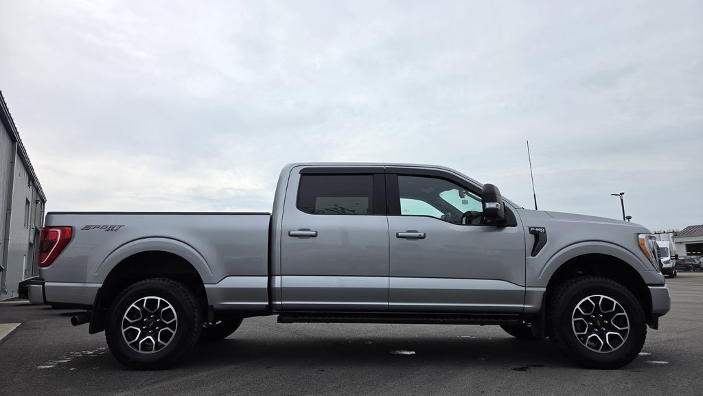 Ford F-150 XLT SPORT 302A  REMORQUAGE MAX 2023 à Matane, Québec - 4 - w1024h768px