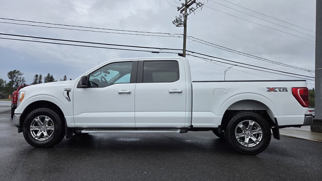 Ford F-150 XLT  ENSEMBLE XTR 300A 2023 à Matane, Québec - 9 - w1024h768px