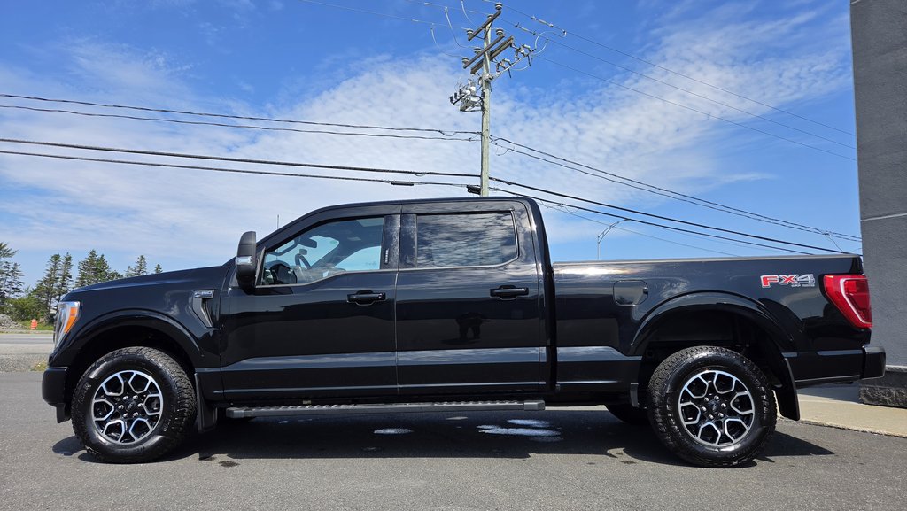 Ford F-150 XLT  302A  TOIT PANORAMIQUE 2023 à Matane, Québec - 10 - w1024h768px