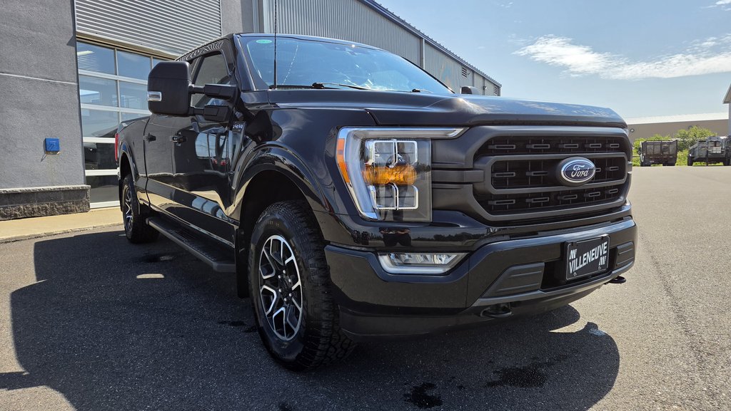 Ford F-150 XLT  302A  TOIT PANORAMIQUE 2023 à Matane, Québec - 4 - w1024h768px