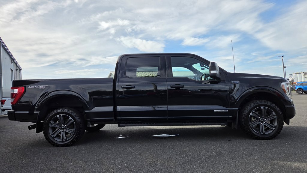 2023 Ford F-150 LARIAT  SPORT 502A  HYBRIDE in Matane, Quebec - 5 - w1024h768px
