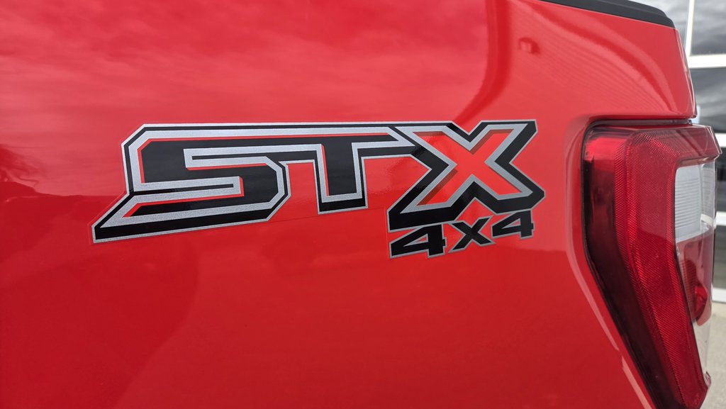 Ford F-150 XL  ENSEMBLE STX 101A 2023 à Matane, Québec - 10 - w1024h768px