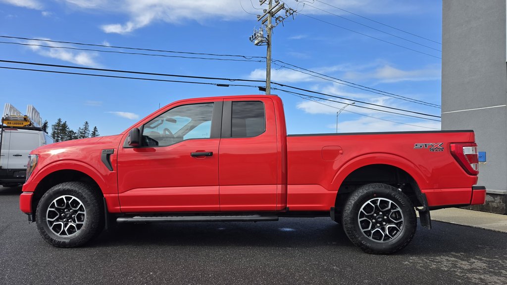 Ford F-150 XL  ENSEMBLE STX 101A 2023 à Matane, Québec - 11 - w1024h768px