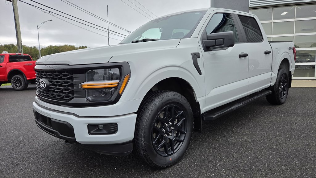 Ford F-150 STX 200A ENSEMBLE DÉCOR NOIR 2024 à Matane, Québec - 10 - w1024h768px