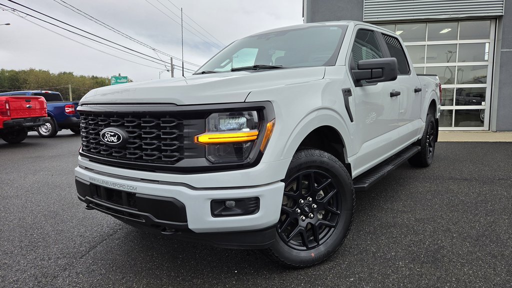 Ford F-150 STX 200A ENSEMBLE DÉCOR NOIR 2024 à Matane, Québec - 1 - w1024h768px