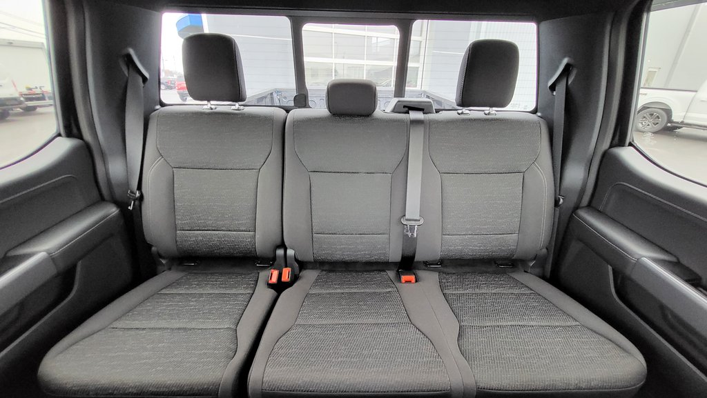 Ford F-150 XLT ENSEMBLE DECOR NOIR 2025 à Matane, Québec - 21 - w1024h768px