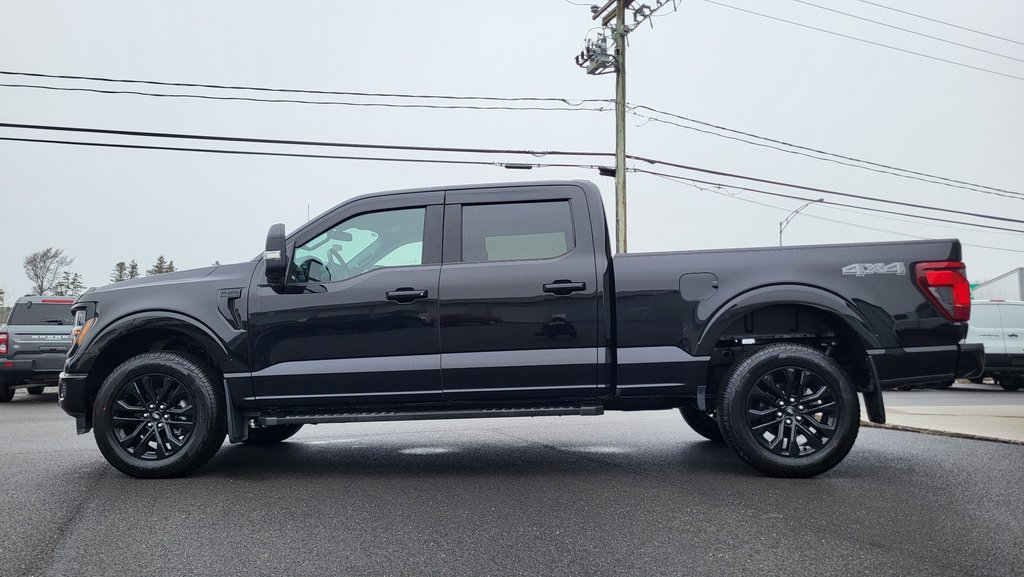 Ford F-150 XLT ENSEMBLE DECOR NOIR 2025 à Matane, Québec - 12 - w1024h768px