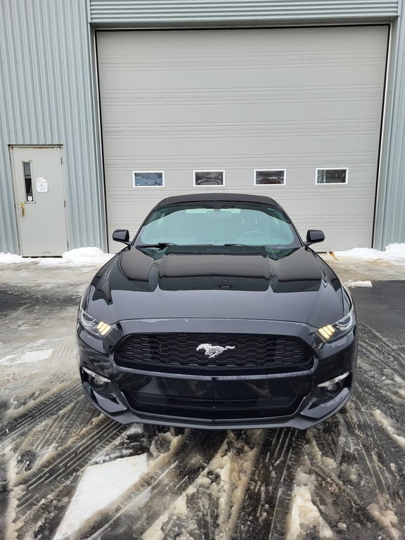 Ford Mustang V6 Convertible 2017 à Matane, Québec - 9 - w1024h768px