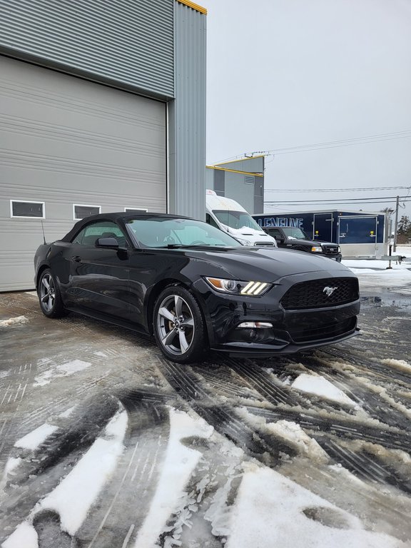 Ford Mustang V6 Convertible 2017 à Matane, Québec - 7 - w1024h768px