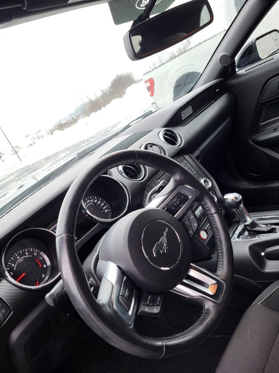 Ford Mustang V6 Convertible 2017 à Matane, Québec - 11 - w1024h768px