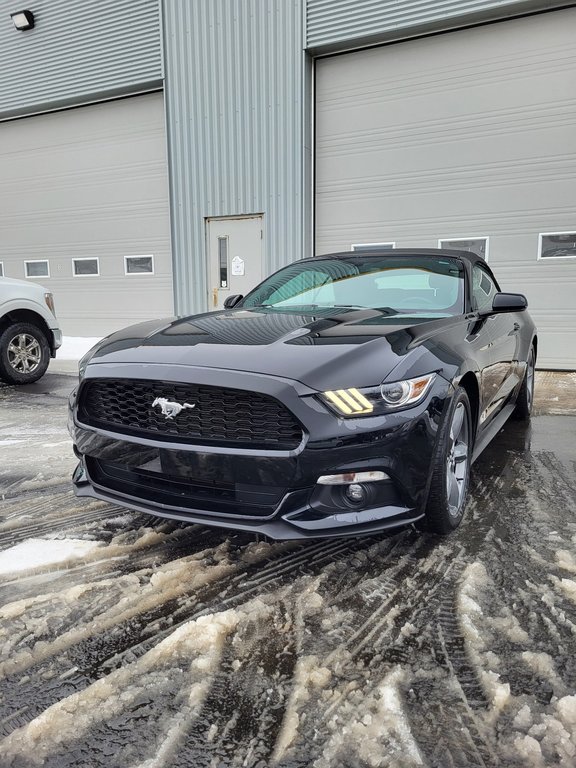 Ford Mustang V6 Convertible 2017 à Matane, Québec - 2 - w1024h768px