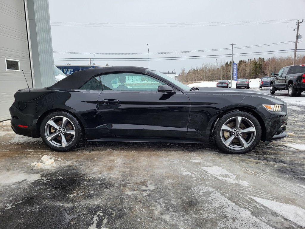 Ford Mustang V6 Convertible 2017 à Matane, Québec - 8 - w1024h768px