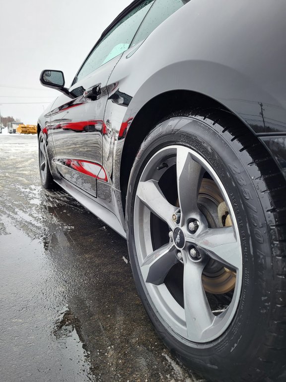 Ford Mustang V6 Convertible 2017 à Matane, Québec - 10 - w1024h768px