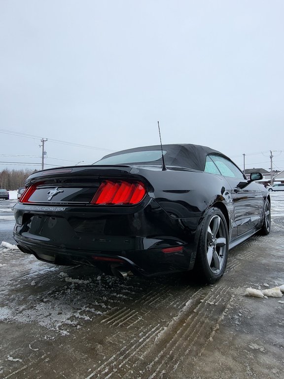 Ford Mustang V6 Convertible 2017 à Matane, Québec - 6 - w1024h768px