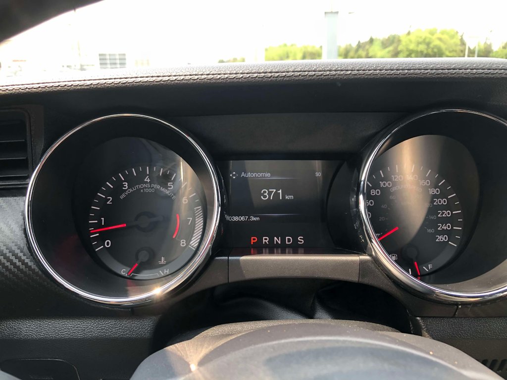 Ford Mustang V6  CONVERTIBLE 2017 à Matane, Québec - 8 - w1024h768px