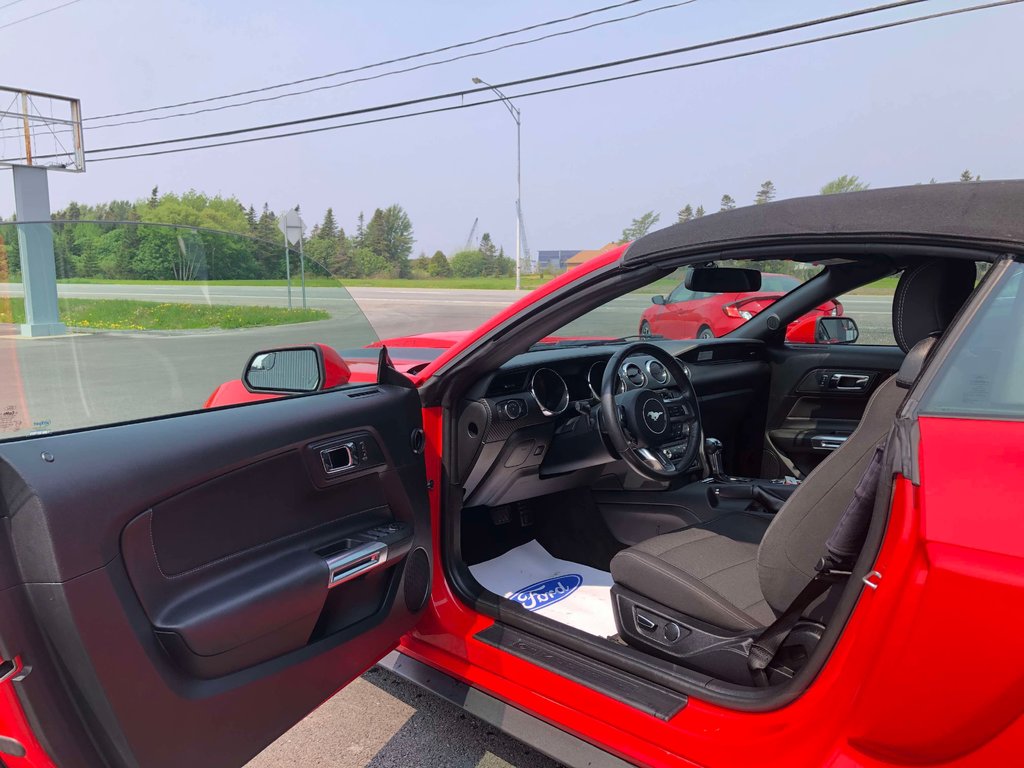 Ford Mustang V6  CONVERTIBLE 2017 à Matane, Québec - 6 - w1024h768px