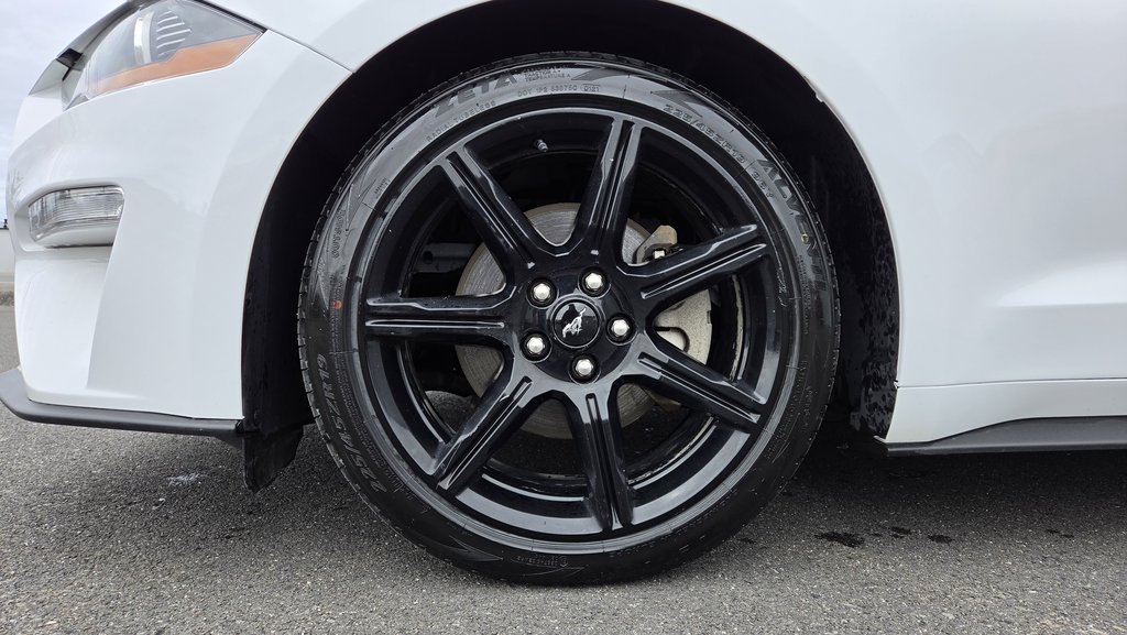 Ford Mustang CONVERTIBLE PREMIUM 2019 à Matane, Québec - 11 - w1024h768px