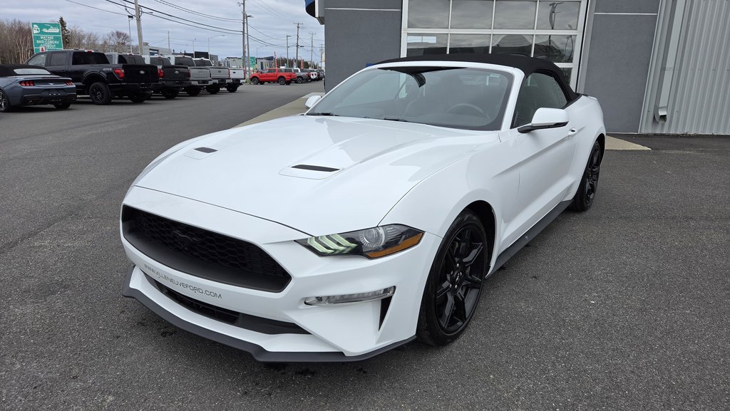 Ford Mustang CONVERTIBLE PREMIUM 2019 à Matane, Québec - 10 - w1024h768px