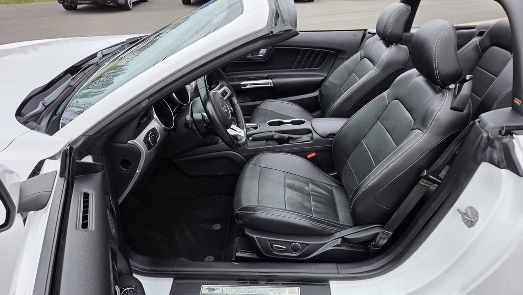 Ford Mustang CONVERTIBLE PREMIUM 2019 à Matane, Québec - 15 - w1024h768px
