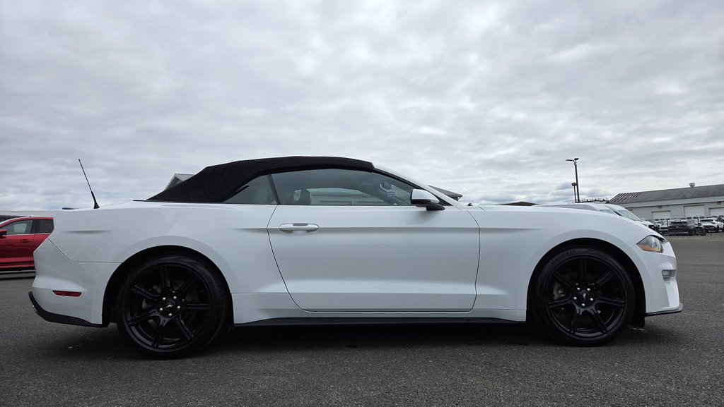 Ford Mustang CONVERTIBLE PREMIUM 2019 à Matane, Québec - 4 - w1024h768px