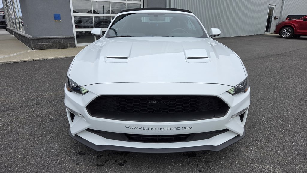 Ford Mustang CONVERTIBLE PREMIUM 2019 à Matane, Québec - 2 - w1024h768px