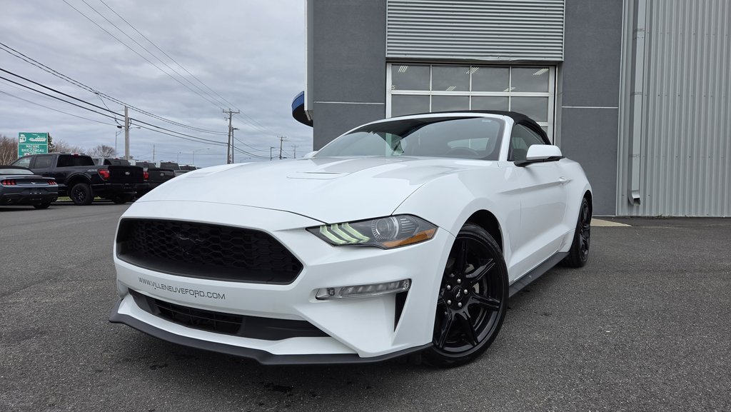 Ford Mustang CONVERTIBLE PREMIUM 2019 à Matane, Québec - 1 - w1024h768px