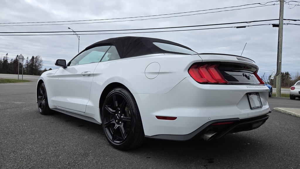 Ford Mustang CONVERTIBLE PREMIUM 2019 à Matane, Québec - 8 - w1024h768px
