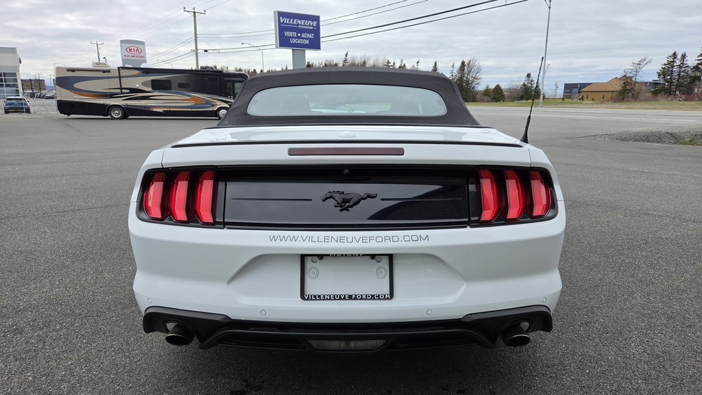 Ford Mustang CONVERTIBLE PREMIUM 2019 à Matane, Québec - 6 - w1024h768px