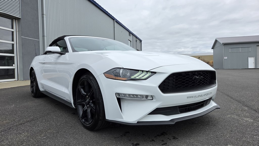 Ford Mustang CONVERTIBLE PREMIUM 2019 à Matane, Québec - 3 - w1024h768px