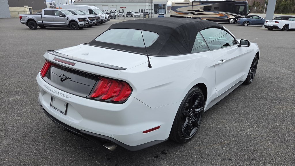 Ford Mustang CONVERTIBLE PREMIUM 2019 à Matane, Québec - 5 - w1024h768px