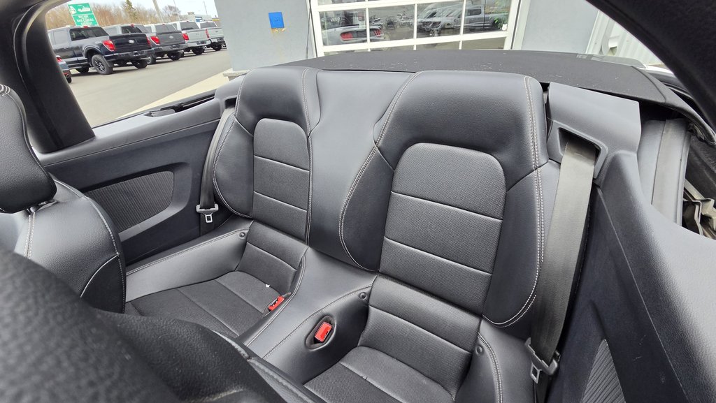 Ford Mustang CONVERTIBLE PREMIUM 2019 à Matane, Québec - 22 - w1024h768px